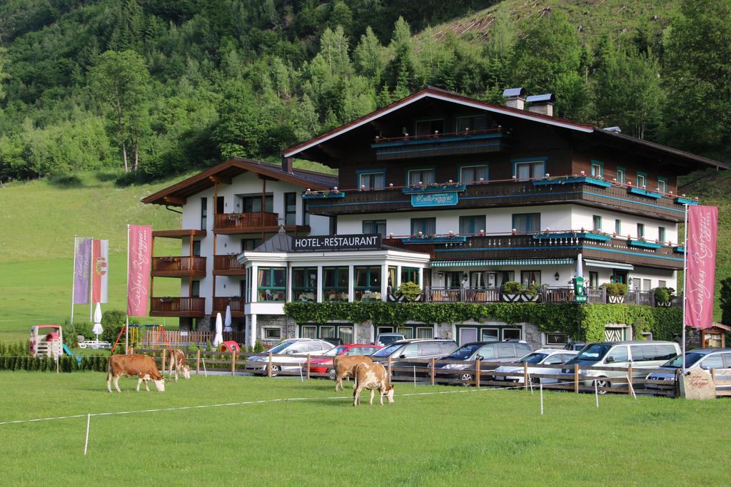 Landhaus Rohregger Neukirchen am Großvenediger Dış mekan fotoğraf